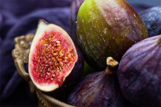 figs exports,fig exports,fig imports,figs imports figs exports,fig exports,fig imports,figs imports