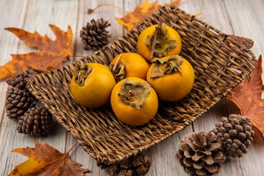 persimmons export,persimmons exports,persimmon export,persimmon export persimmons export,persimmons exports,persimmon export,persimmon export