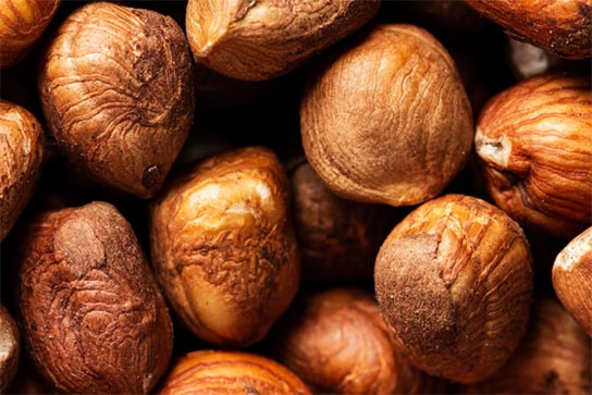 nutmeg exports,global nutmeg exports,nutmeg export nutmeg exports,global nutmeg exports,nutmeg export