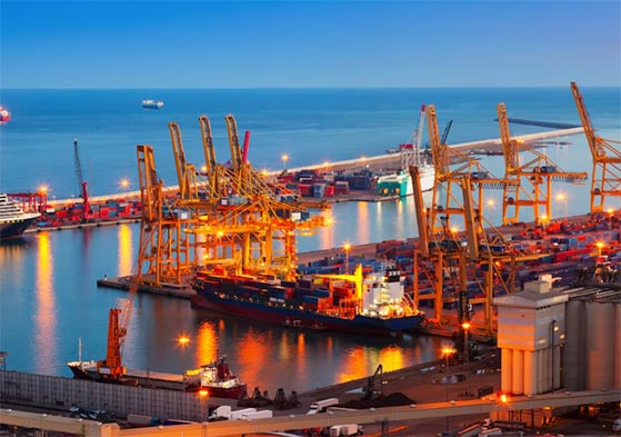 customs website,customs websites,national customs websites customs website,customs websites,national customs websites