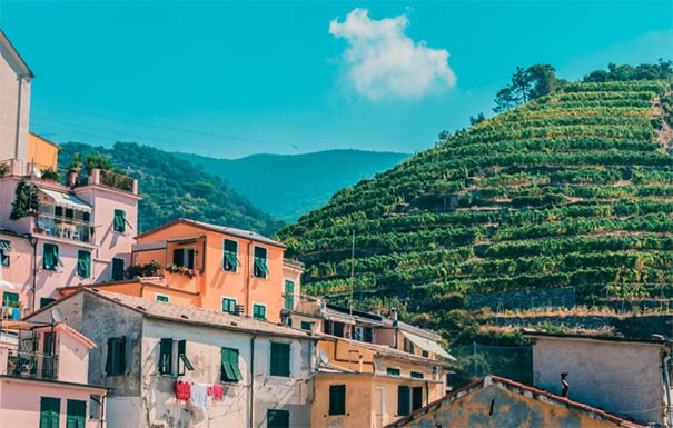 italy customs import and export data,import and export data,customs import and export data italy customs import and export data,import and export data,customs import and export data