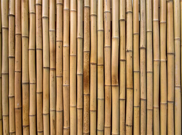 bamboo import data,global bamboo import data,bamboo import bamboo import data,global bamboo import data,bamboo import