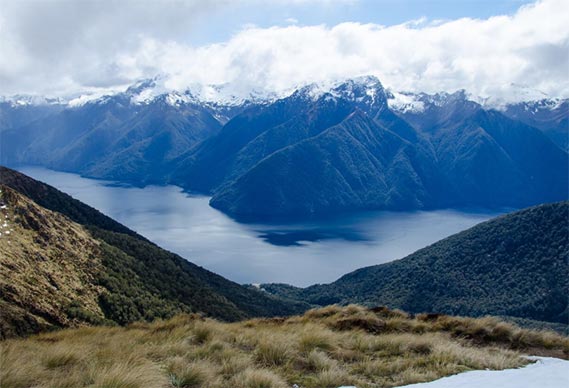 new zealand import and export trade data,import and export trade data,trade data new zealand import and export trade data,import and export trade data,trade data